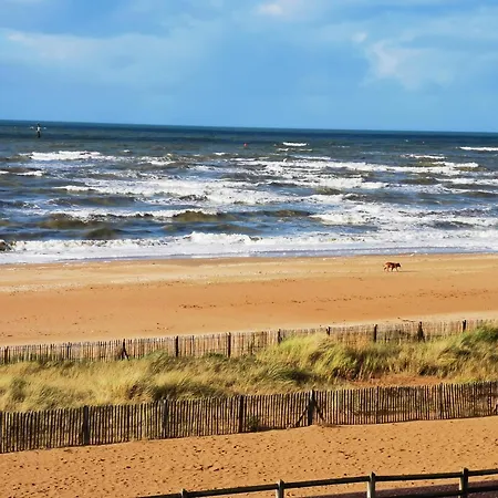 Grand Face A La Apartment *