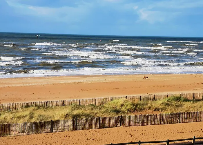 Grand Face A La Apartment *